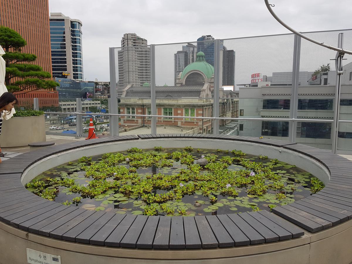 명동 이브